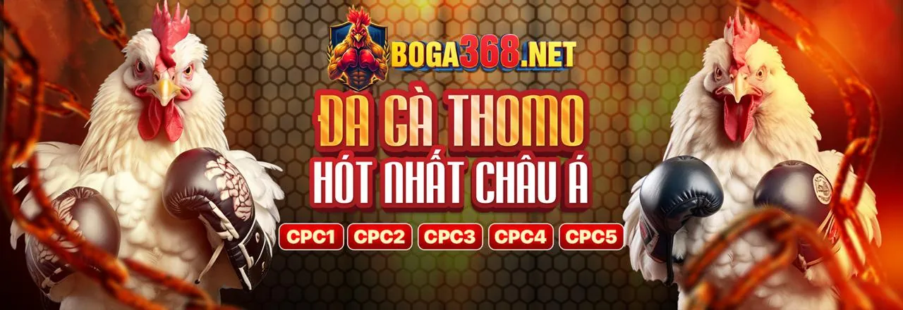 Đá gà trực tuyến big79 với các trận đấu kịch tính