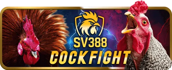 Biểu tượng giao dịch an toàn và nhanh chóng big79